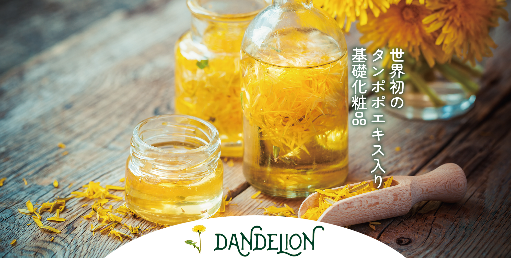 世界初のタンポポエキス入り基礎化粧品 ダンデリオン